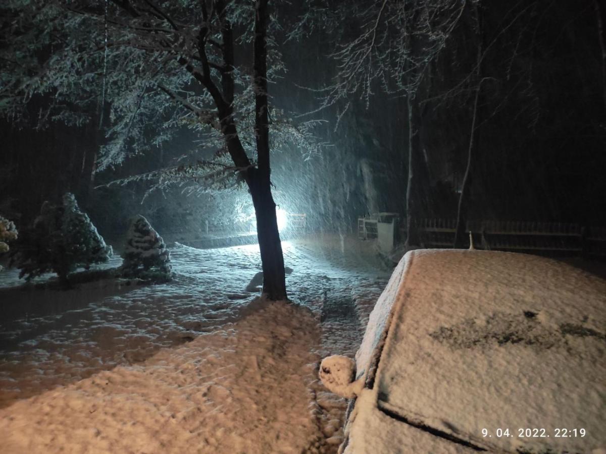 Villa Ema Sarajevo Bagian luar foto