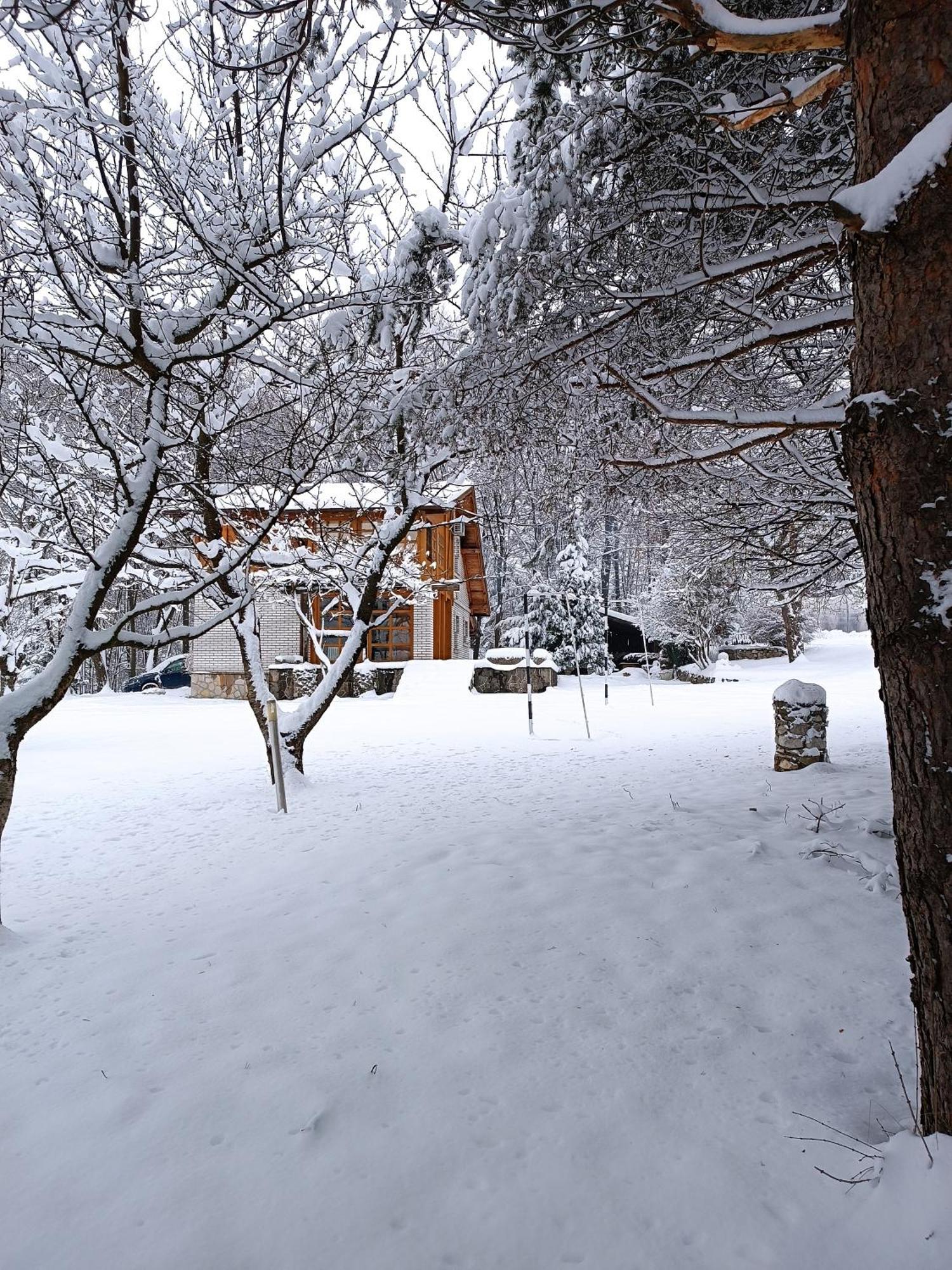 Villa Ema Sarajevo Bagian luar foto